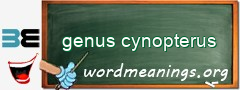 WordMeaning blackboard for genus cynopterus